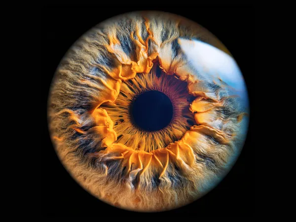 Ihr persönliches Iris-Bild